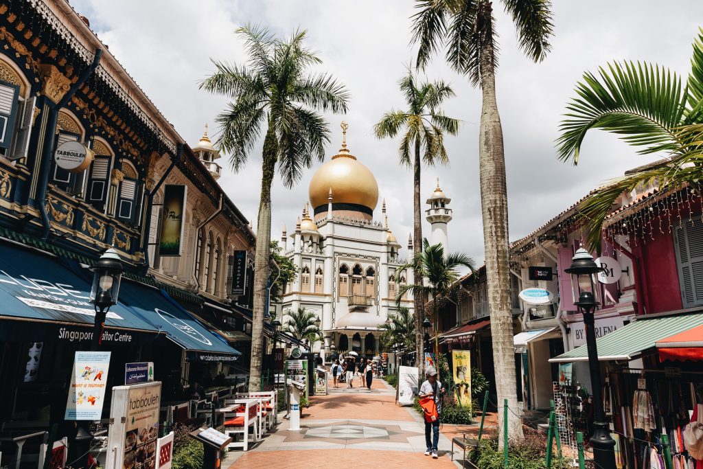 Sultan Masjid Rainforest Wild at Mandai Wildlife Reserve